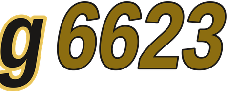 g6623 logo
